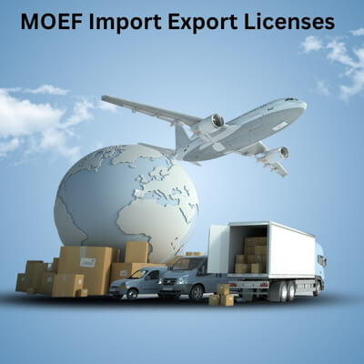 Top 10 Common Mistakes When Applying for MOEF Import Export Licenses